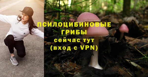 mdma Гусев
